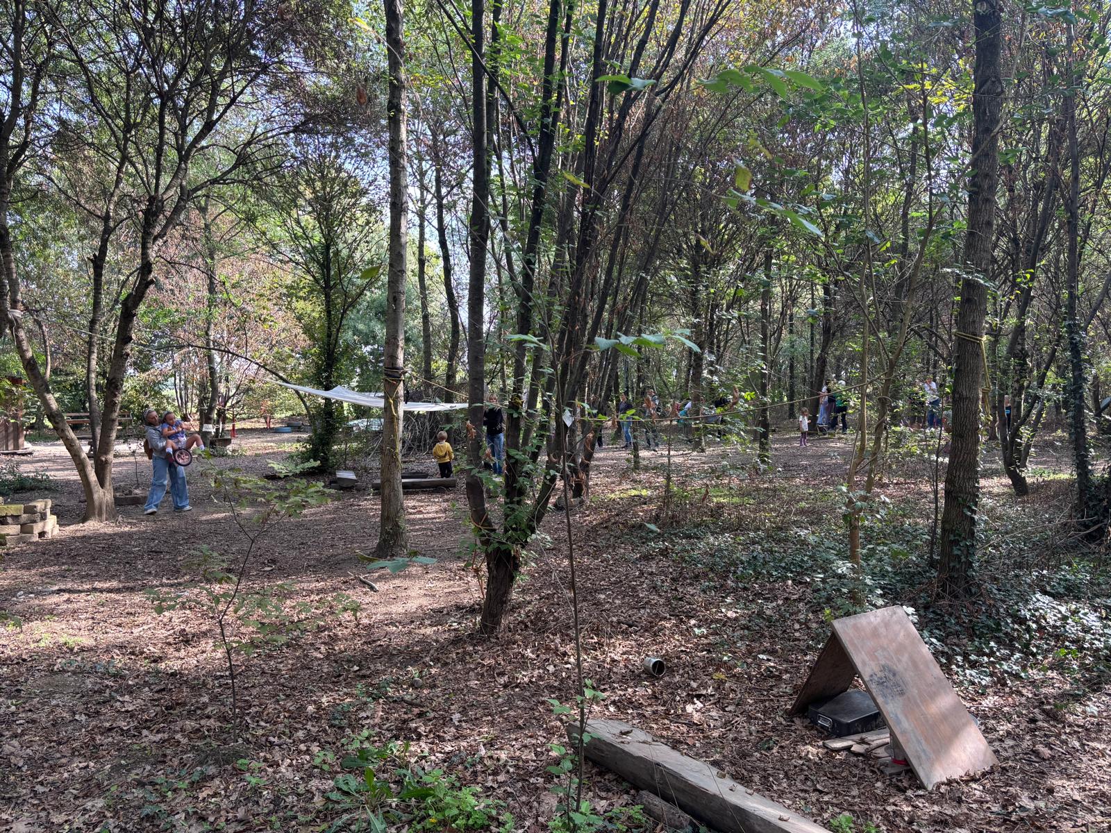 Outdoor educational area in the forest